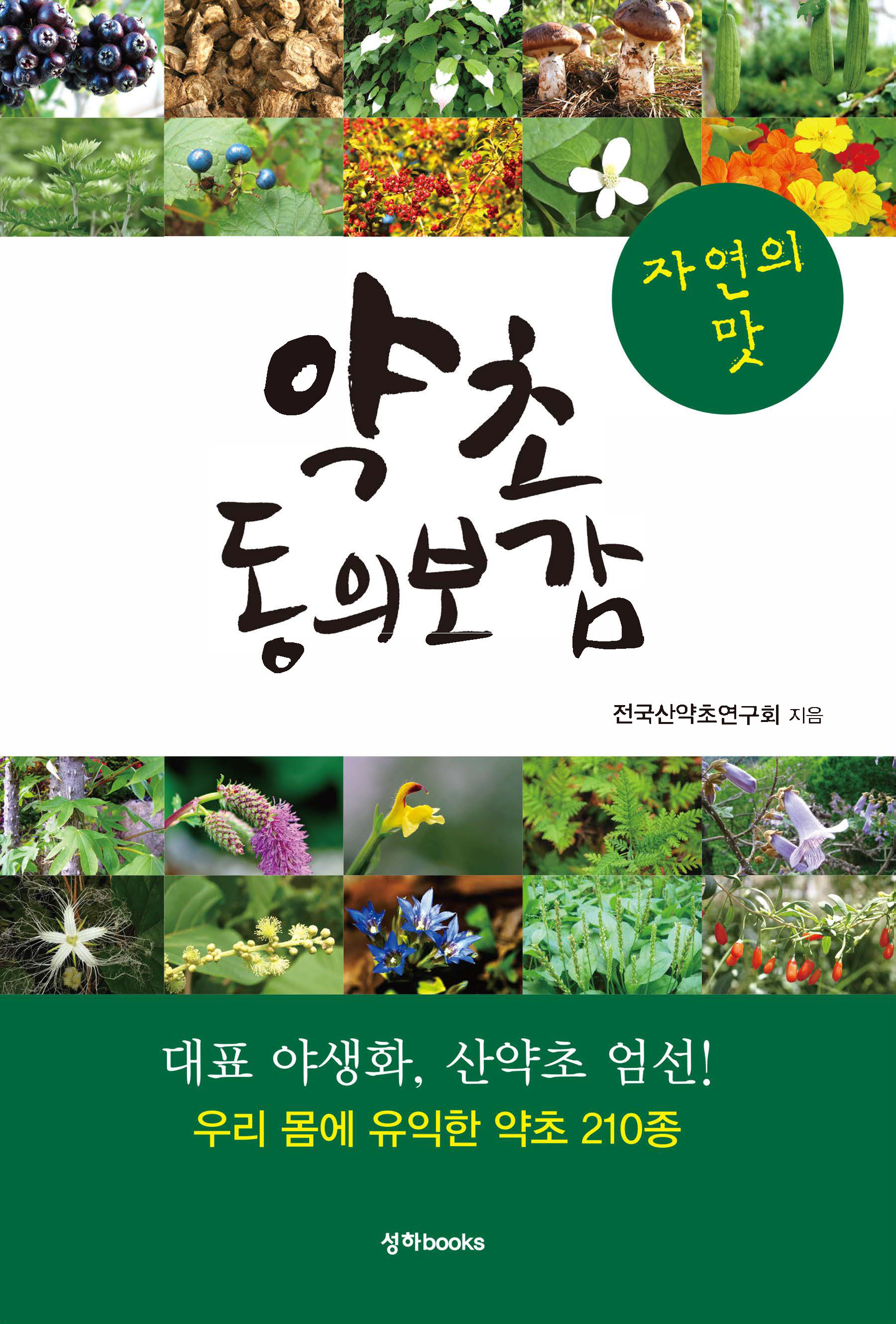 �ڿ��� �� ���� ���Ǻ��� : ��ǥ �߻�ȭ, ����� ����! �츮 ���� ������ ���� 210��